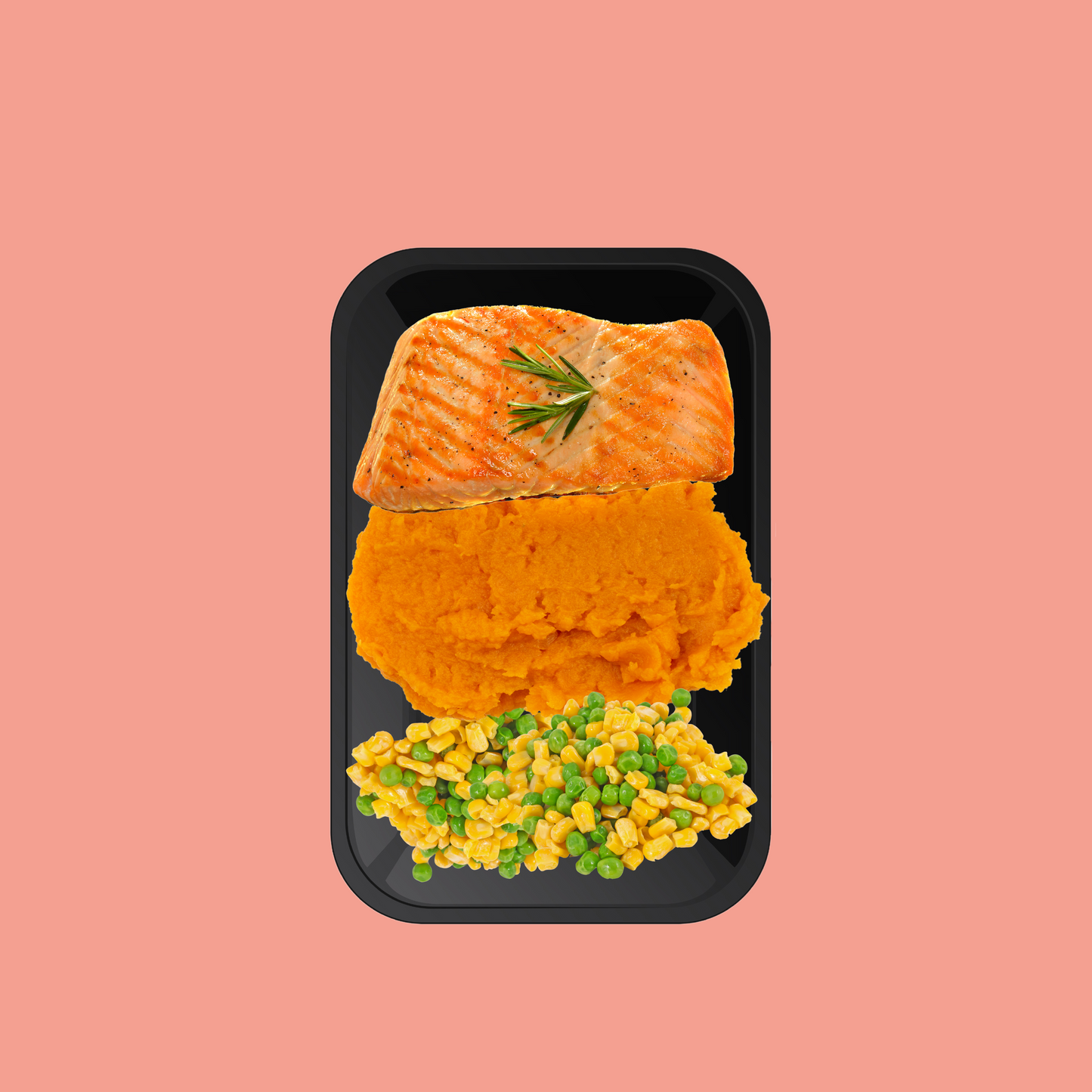 
                  
                    CYO - SALMON MEAL
                  
                