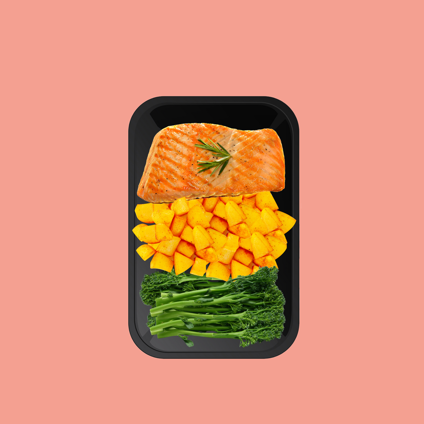 
                  
                    CYO - SALMON MEAL
                  
                